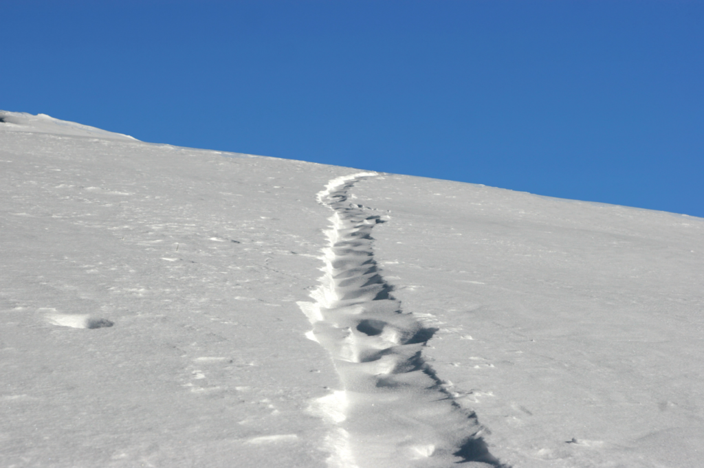 trace ascension ski de randonnée